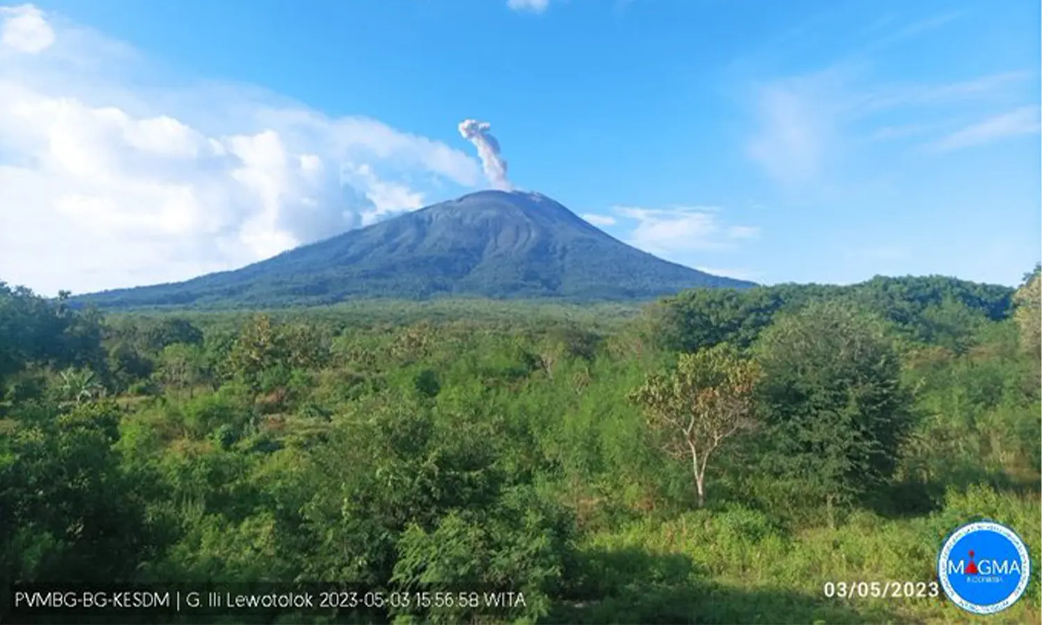 Gunung Ili Lewotolok Erupsi, Lontarkan Abu Setinggi 800 Meter