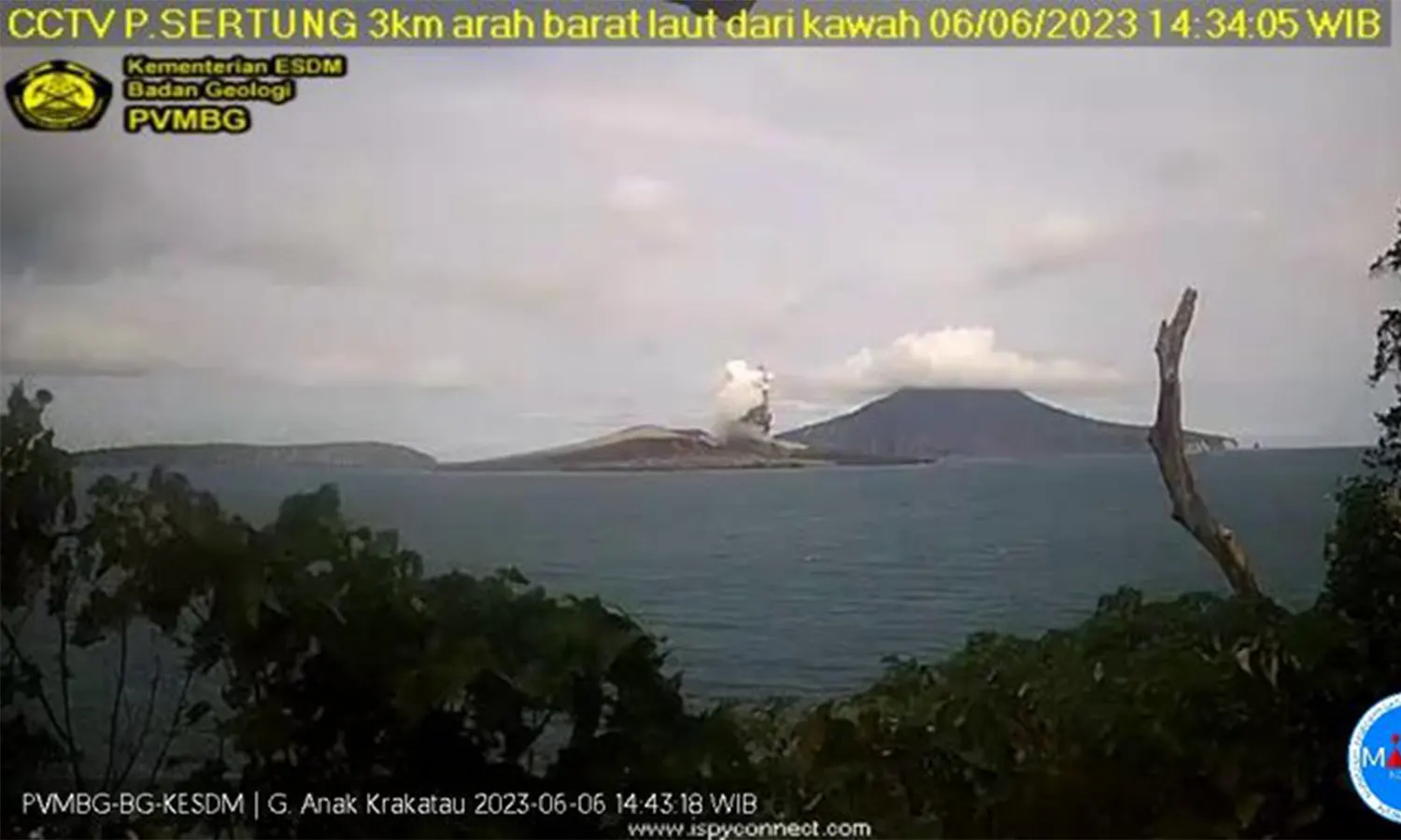 Gunung Anak Krakatau Erupsi, Tinggi Kolom Abu Capai 500 Meter
