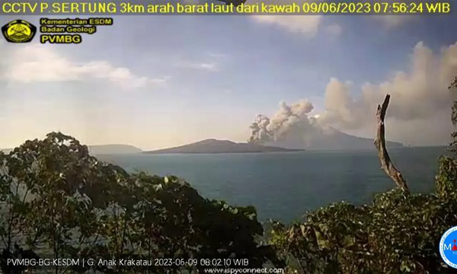 Gunung Anak Krakatau Erupsi, Tinggi Kolom Abu Capai 800 Meter