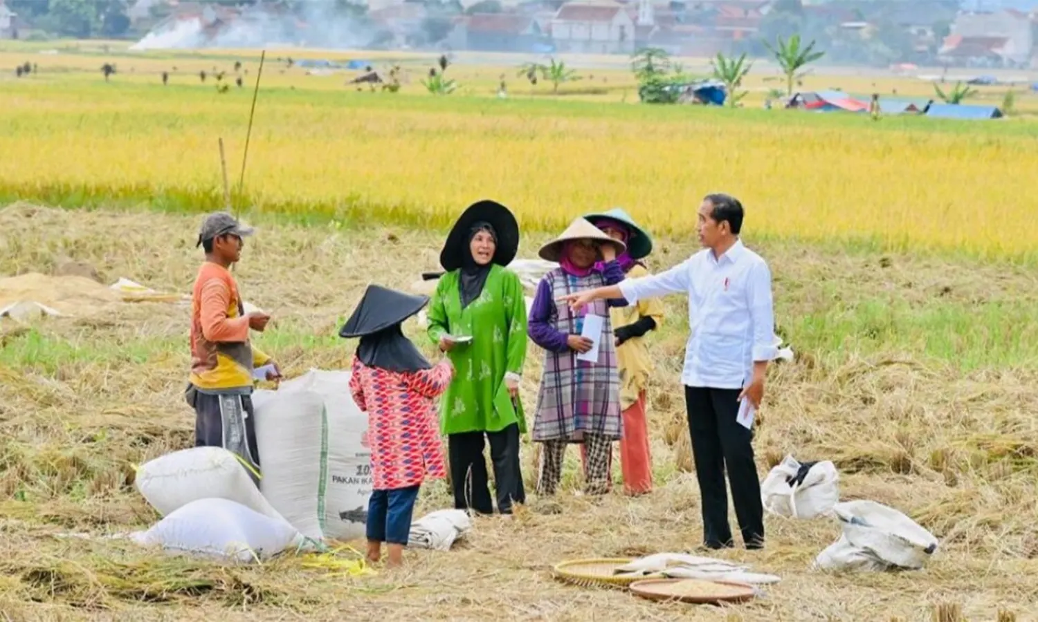 Komisi IV: Pemerintah Harus Tegas Buat Kebijakan HPP Gabah Petani