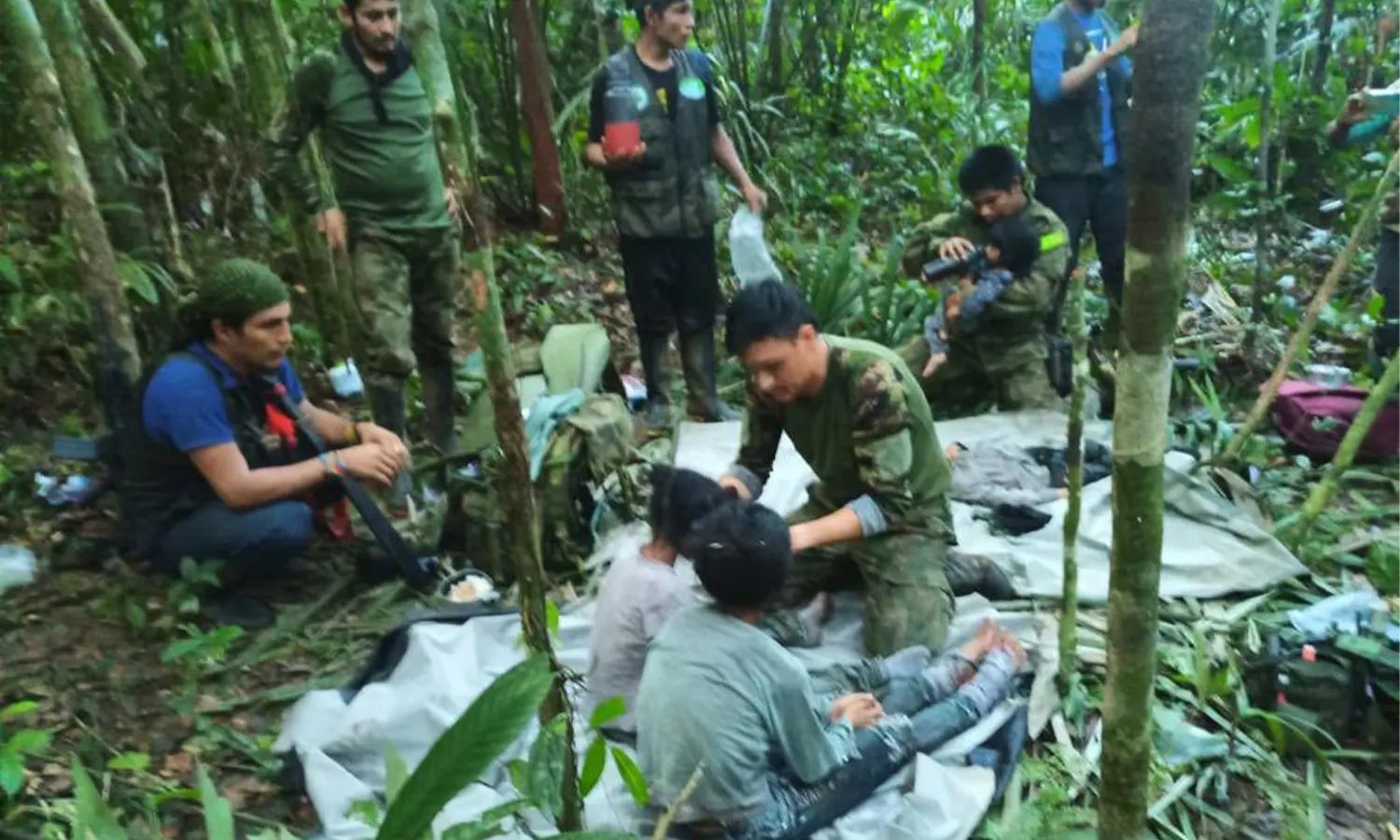 Jadi Korban Kecelakaan Pesawat, 4 Anak Berhasil Bertahan Hidup 40 Hari di Hutan Amazon