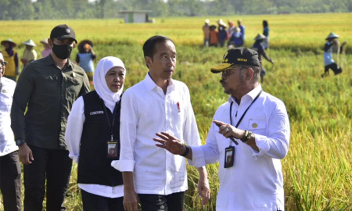 Atasi Masalah Ketersediaan Pupuk, Mentan: Presiden Kasih Waktu 2-3 Bulan