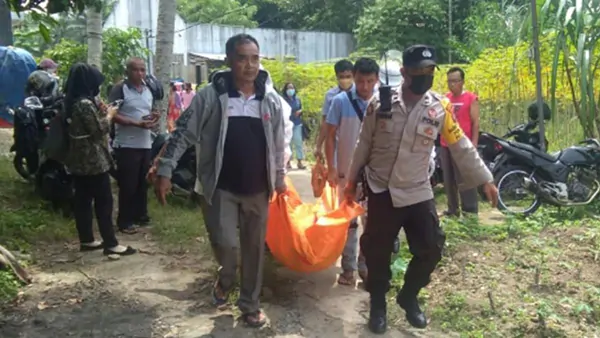 Panen Rambutan Berujung Petaka, Seorang Lansia di Tebing Tinggi Tewas Disengat Tawon