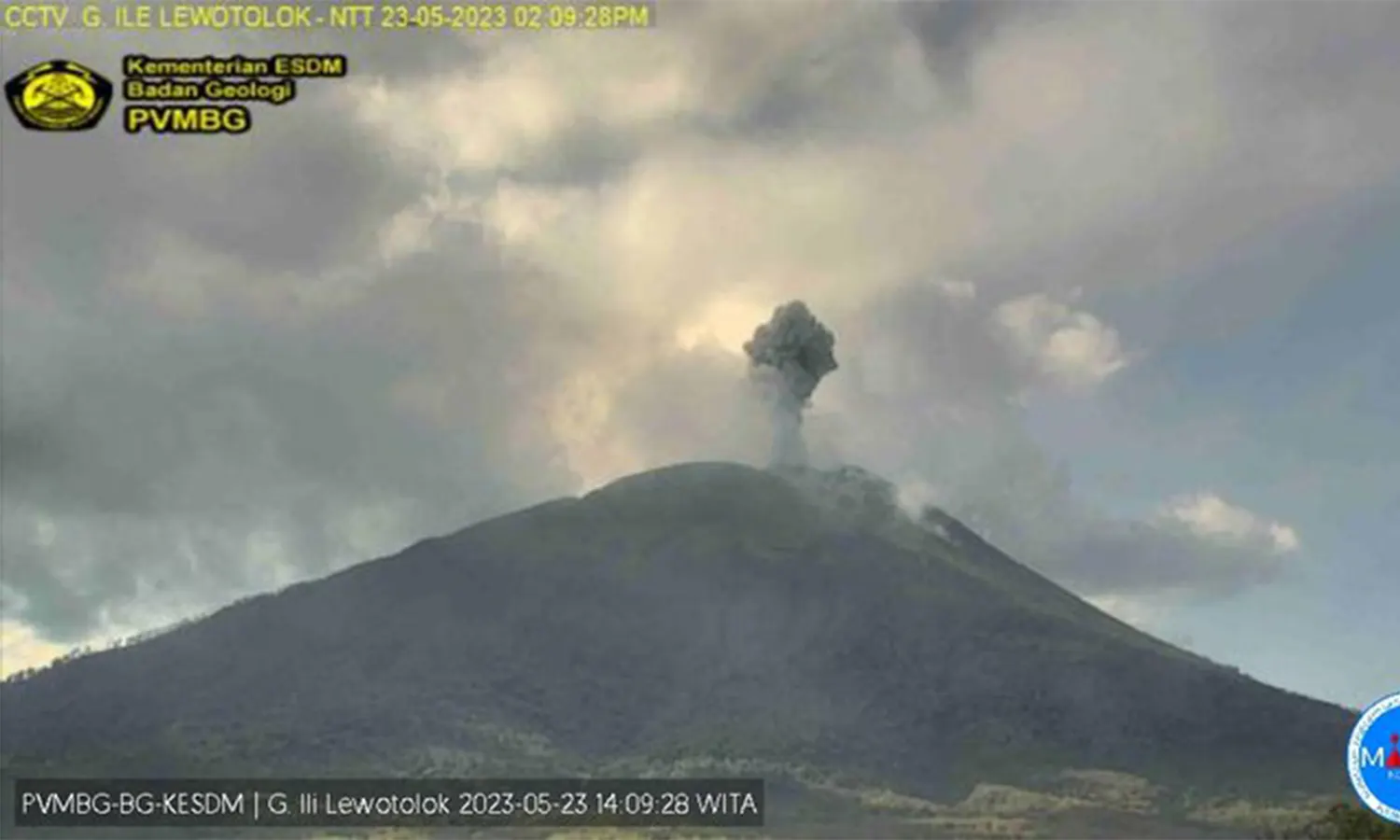 Gunung Ili Lewotolok Kembali Erupsi, Luncurkan Kolom Abu Setinggi 700 Meter
