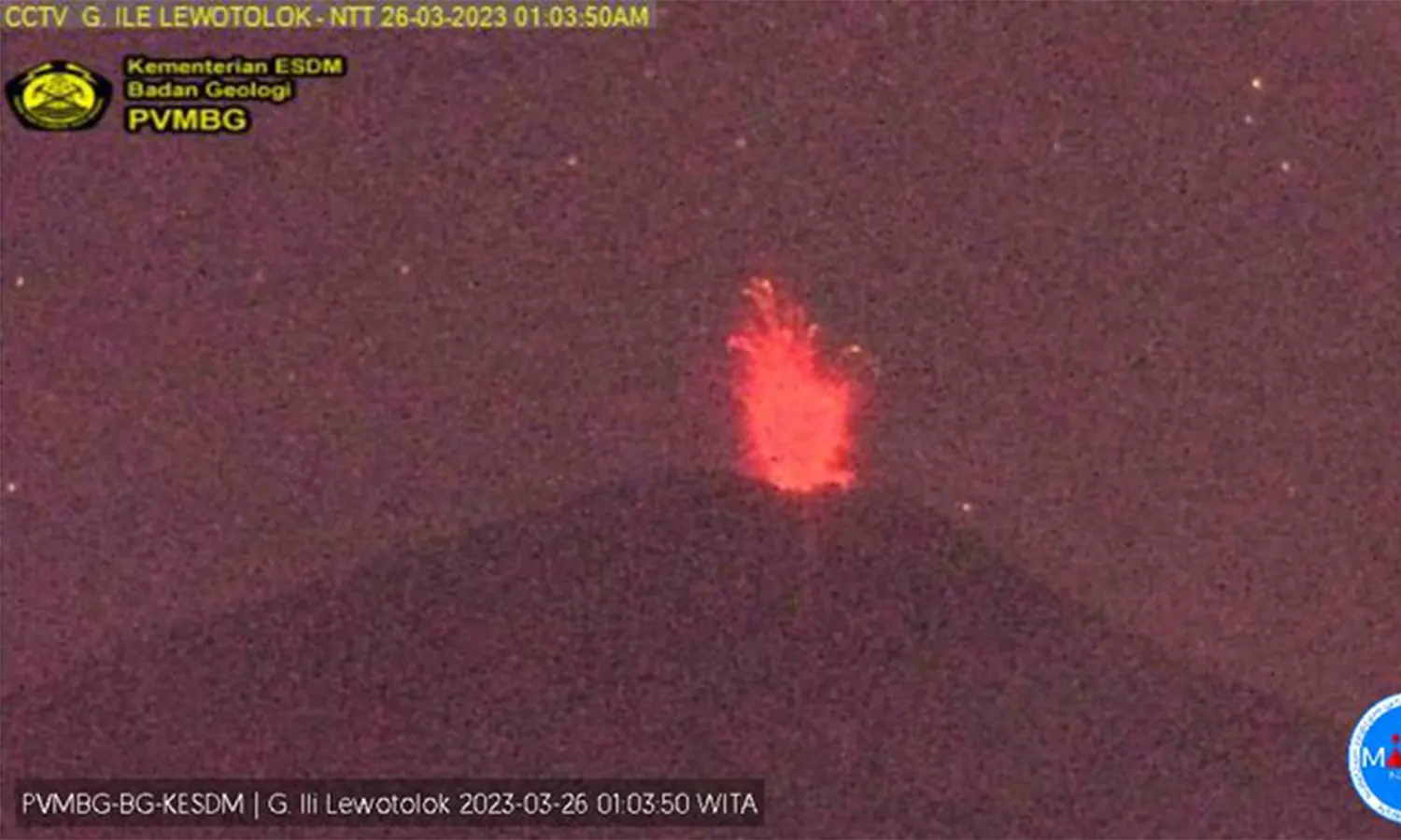 Gunung Ili Lewotolok Kembali Erupsi 57 Kali, Lontarkan Abu Setinggi 300-700 Meter