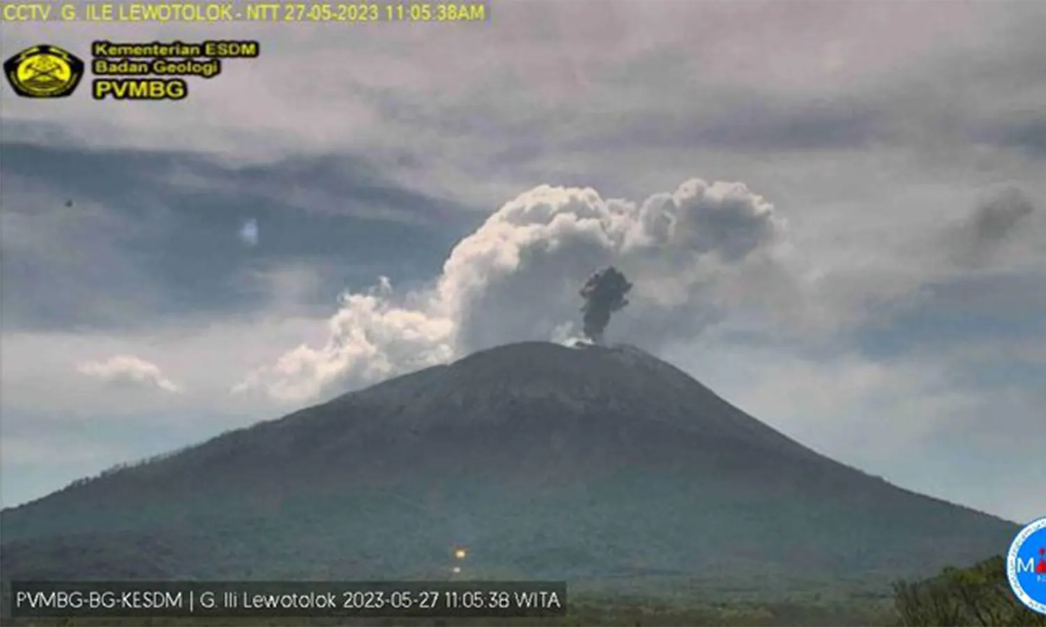 Gunung Ili Lewotolok Erupsi, Luncurkan Kolom Abu Setinggi 500 Meter