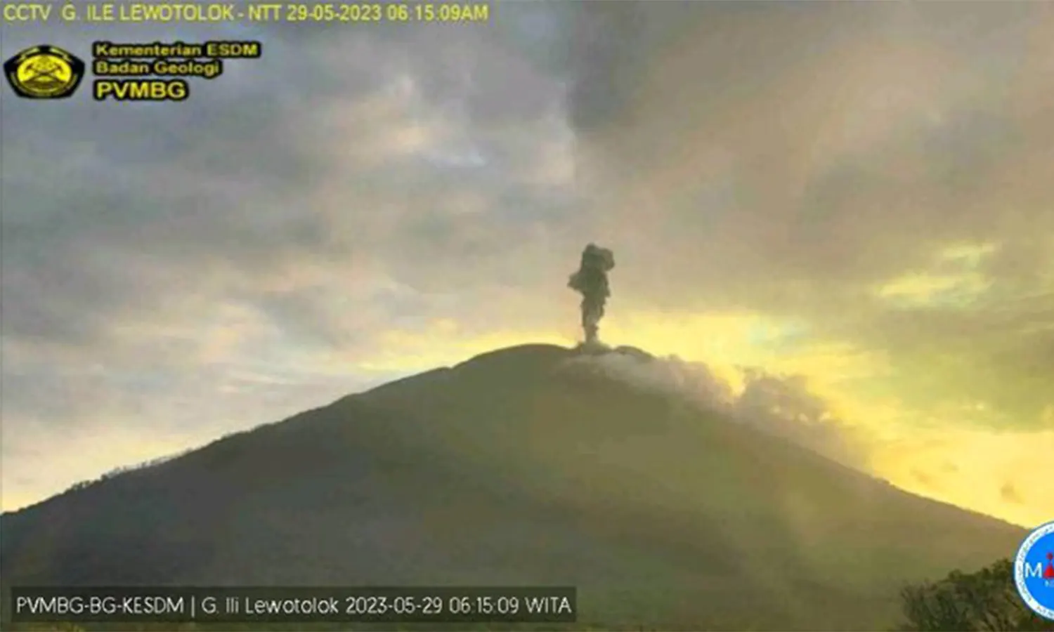 Gunung Ili Lewotolok Erupsi, Luncurkan Kolom Abu Setinggi 800 Meter