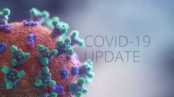Update Kasus Covid-19 Saat Ini