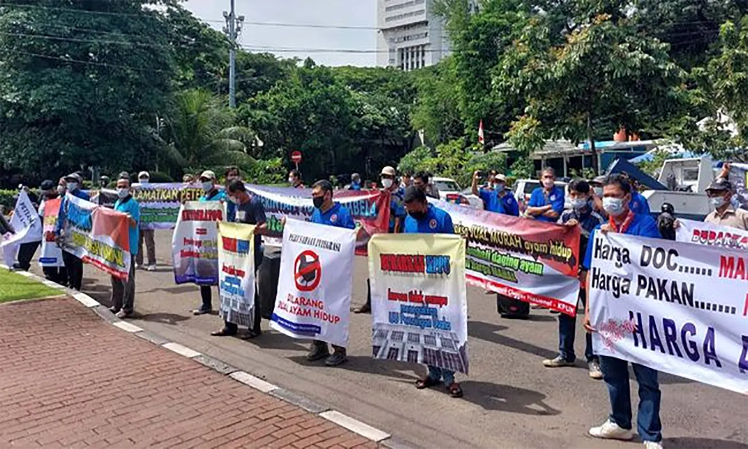 Harga Ayam Anjlok Lagi, Peternak Demo di Kantor Kemendag