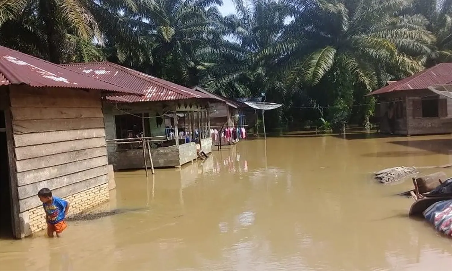 Puluhan Rumah Warga Di Tapanuli Selatan Sudah Sebulan Terendam Banjir