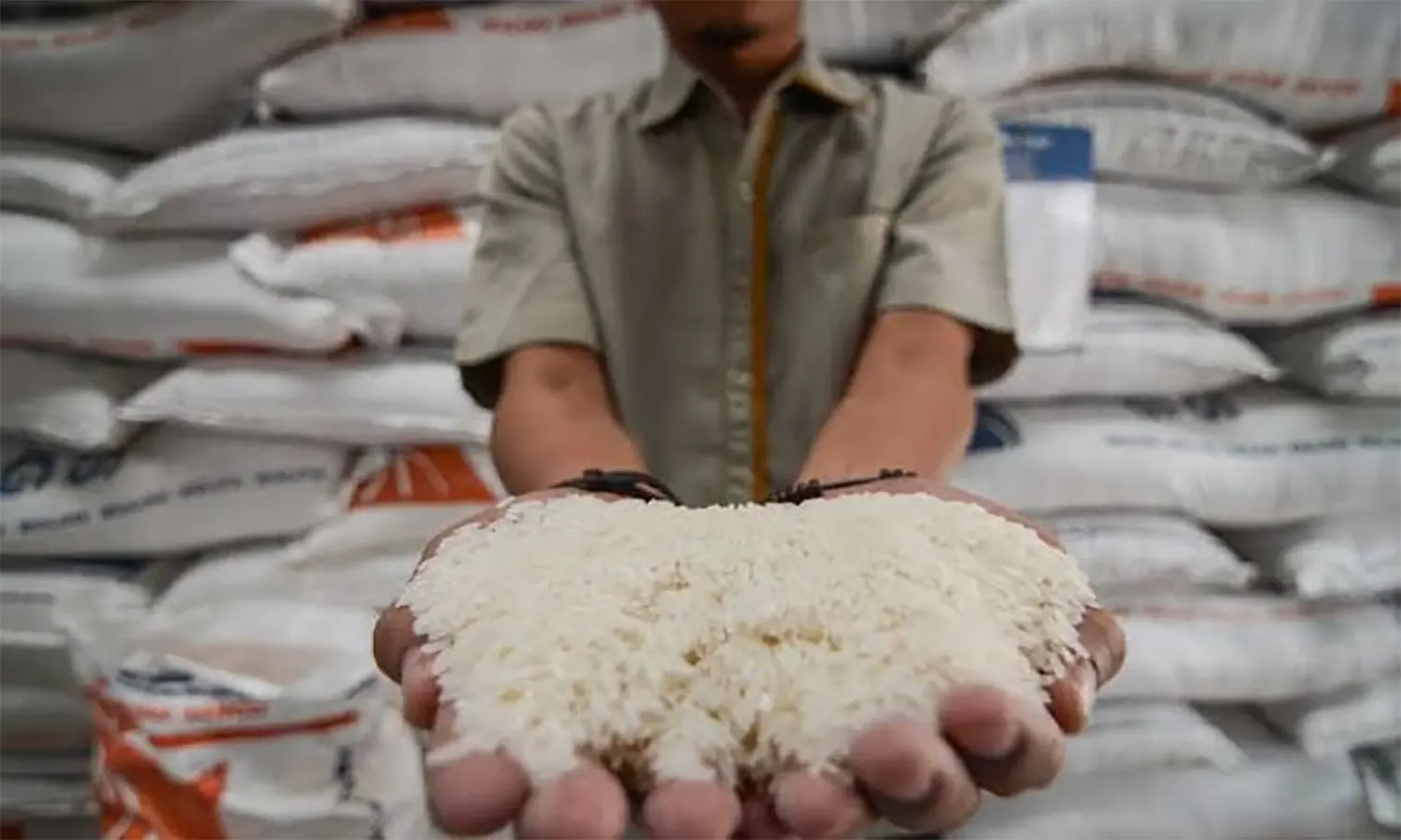 Impor Beras, Buwas Bulog Buka-bukaan soal Hilang Beras 500 Ton di Gudang Bulog Pinrang