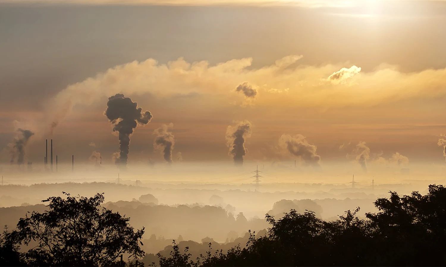 Apa itu Bioremediasi? Berikut Pengertian, Faktor yang Mempengaruhi, Manfaat dan Contohnya