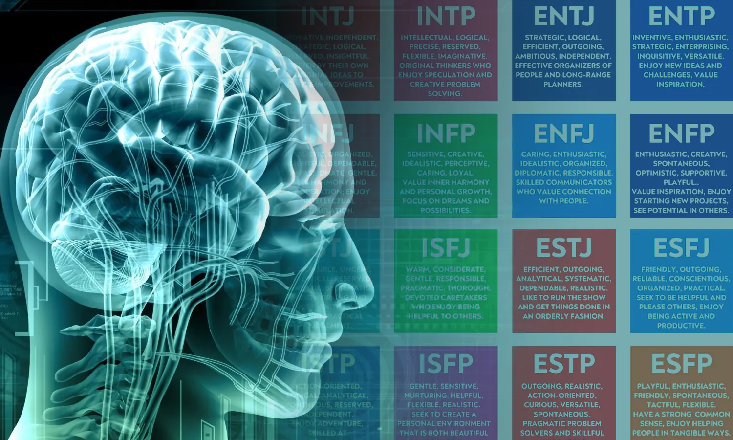 5 Kepribadian MBTI Terlangka di Dunia, Ada Punya Kamu?
