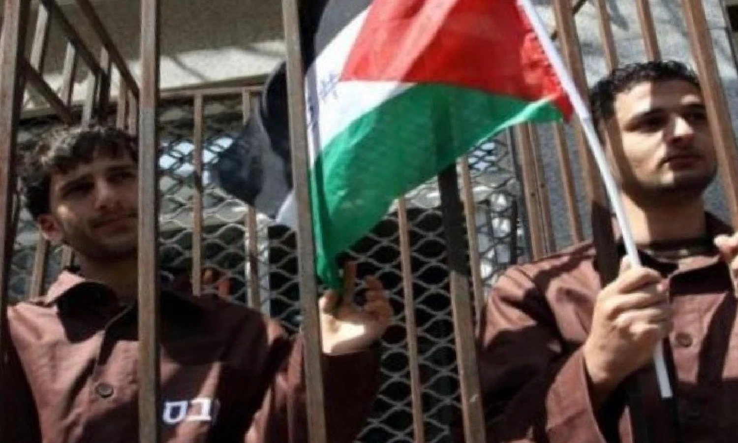 Sadis! Israel Tahan 800 Warga Palestina Tanpa Persidangan