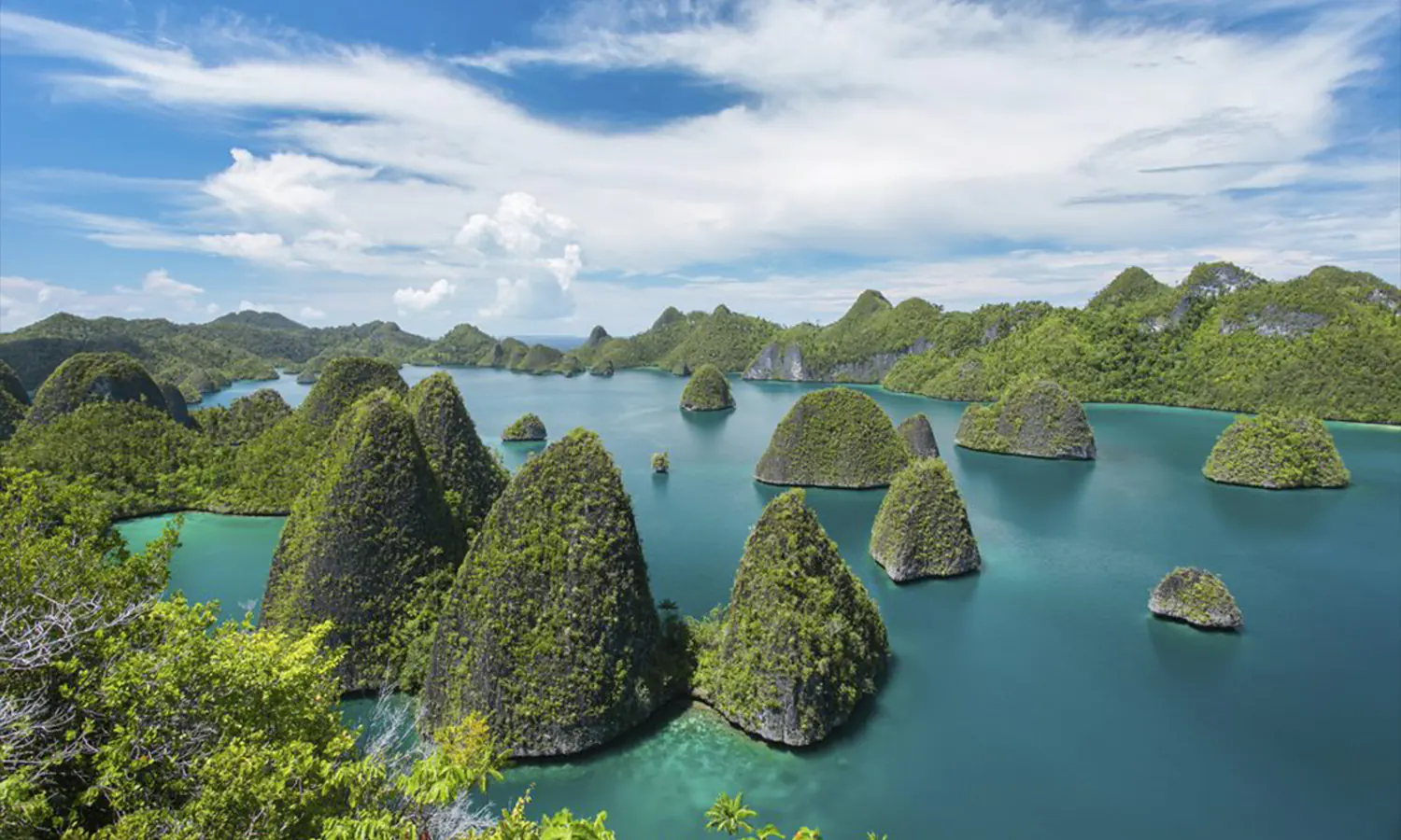 Kisruh Tambang Nikel di Raja Ampat: Bagaimana Langkah Pemerintah?