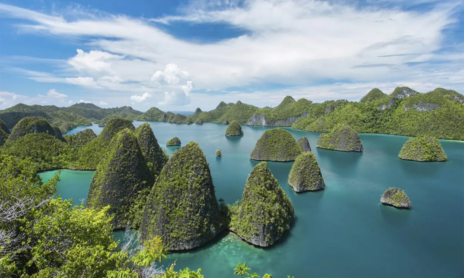 Tambang Nikel di Raja Ampat: Antara Legalitas Kontrak Lama vs Ancaman Ekologis
