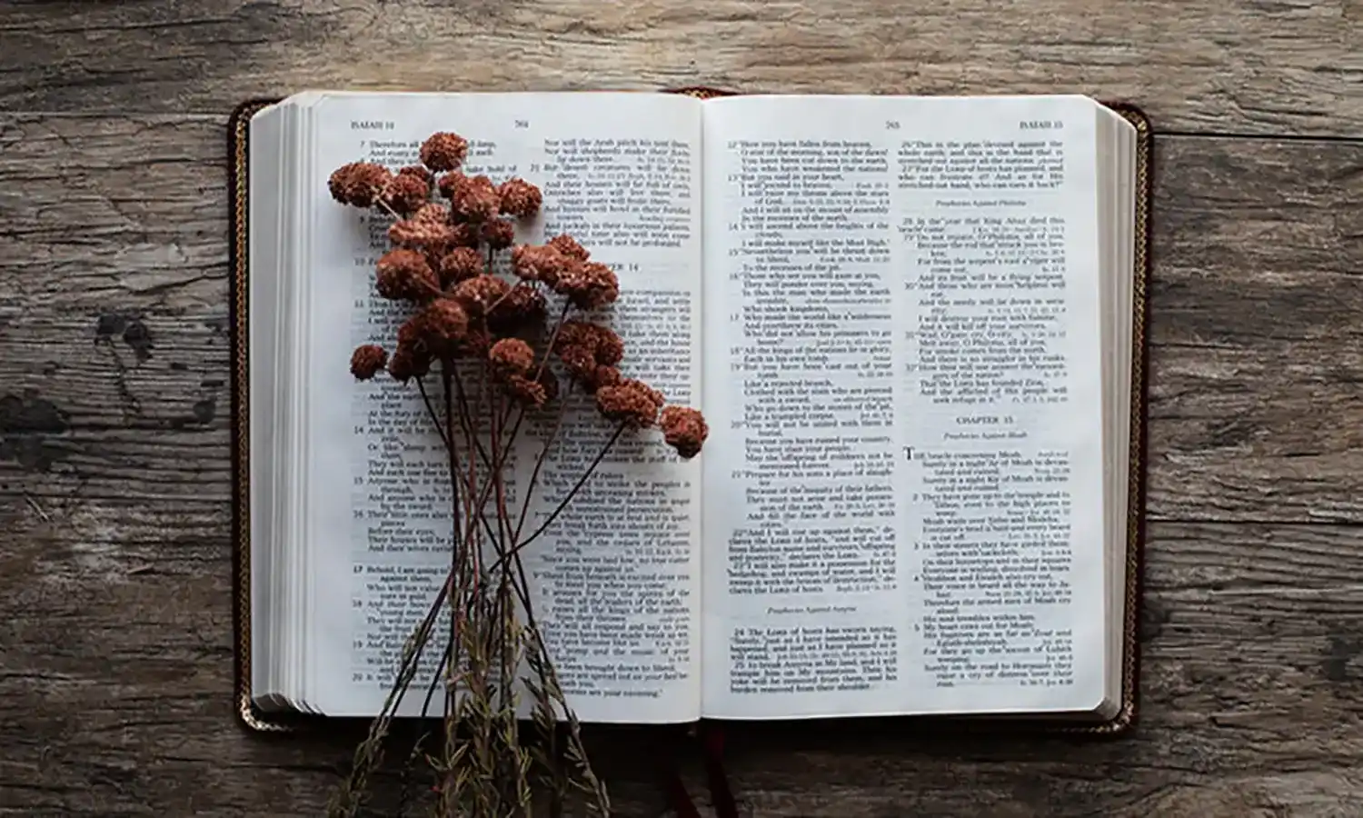 Kumpulan Ayat Alkitab yang Memotivasi dan Penuh Pengharapan