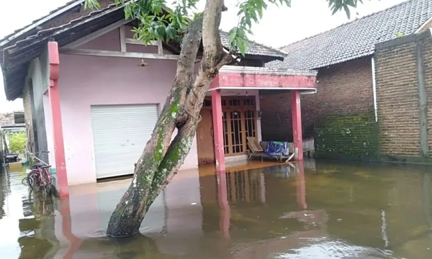 Hujan Terus Mengguyur, 574 Rumah di Kudus Terendam Banjir
