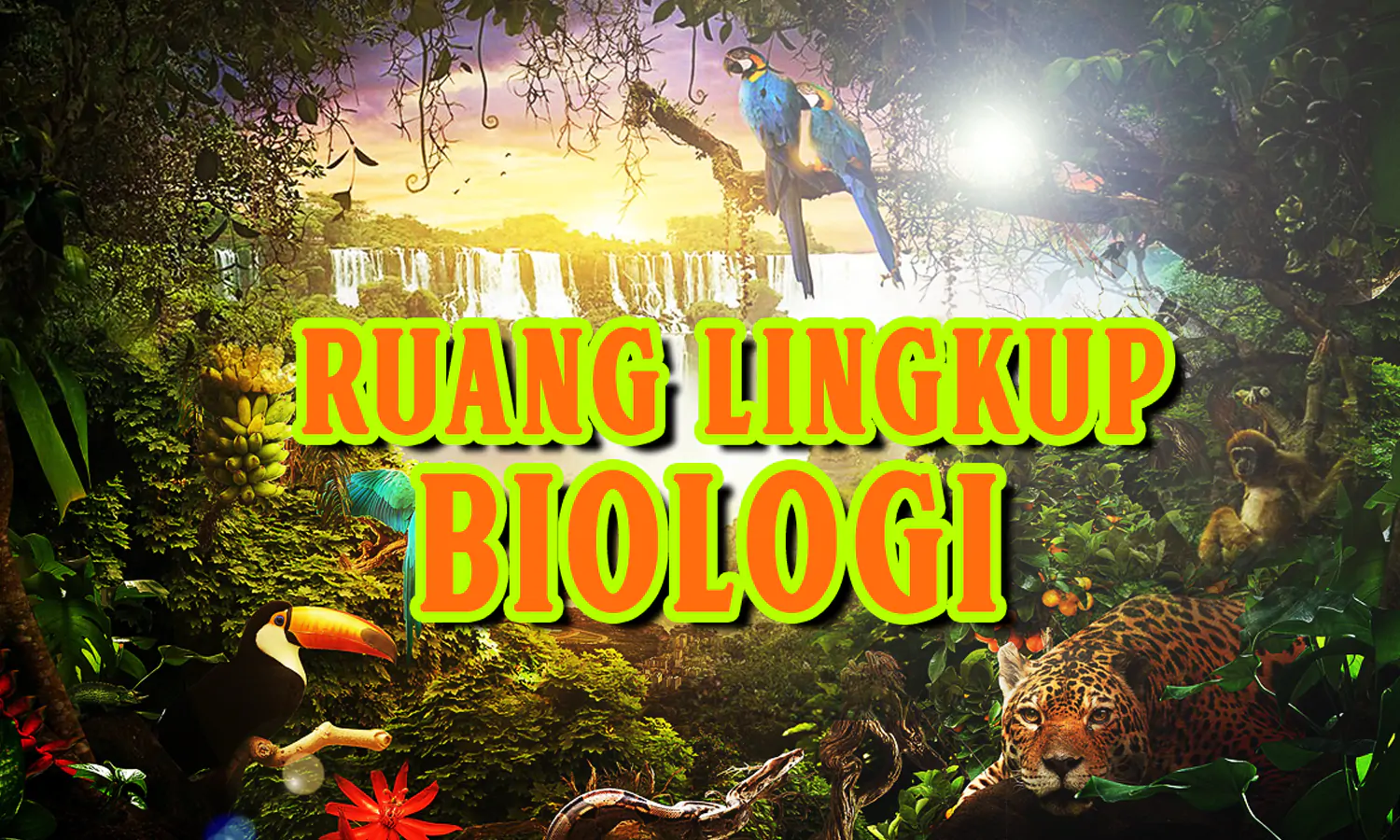 Yuk Kenal Lebih Dekat dengan Ruang Lingkup Biologi