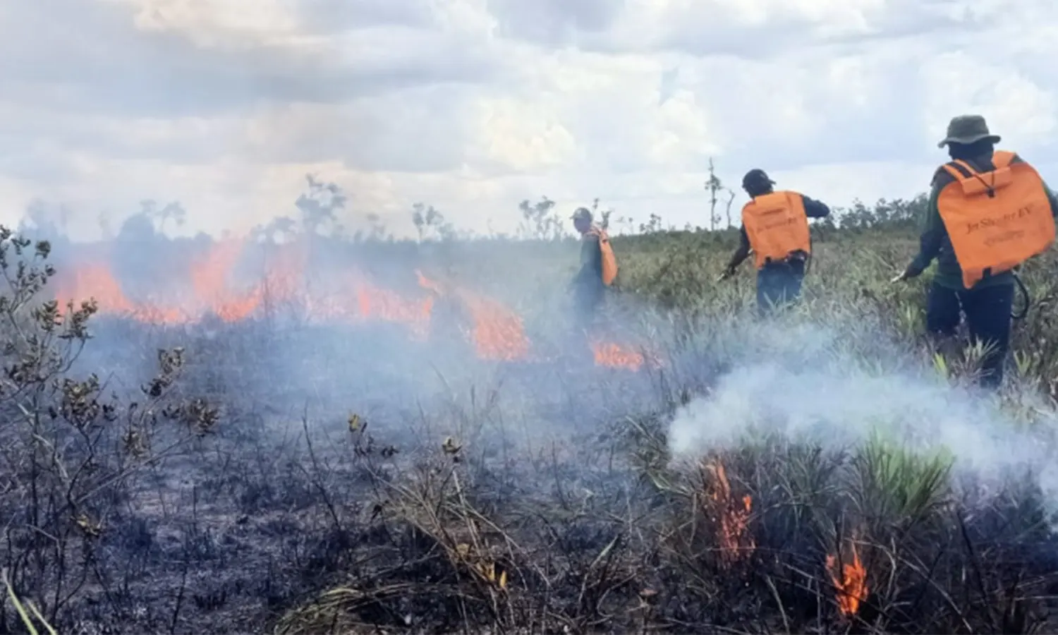 Hutan di Gunung Ciremai Terbakar hingga 102 Hektare