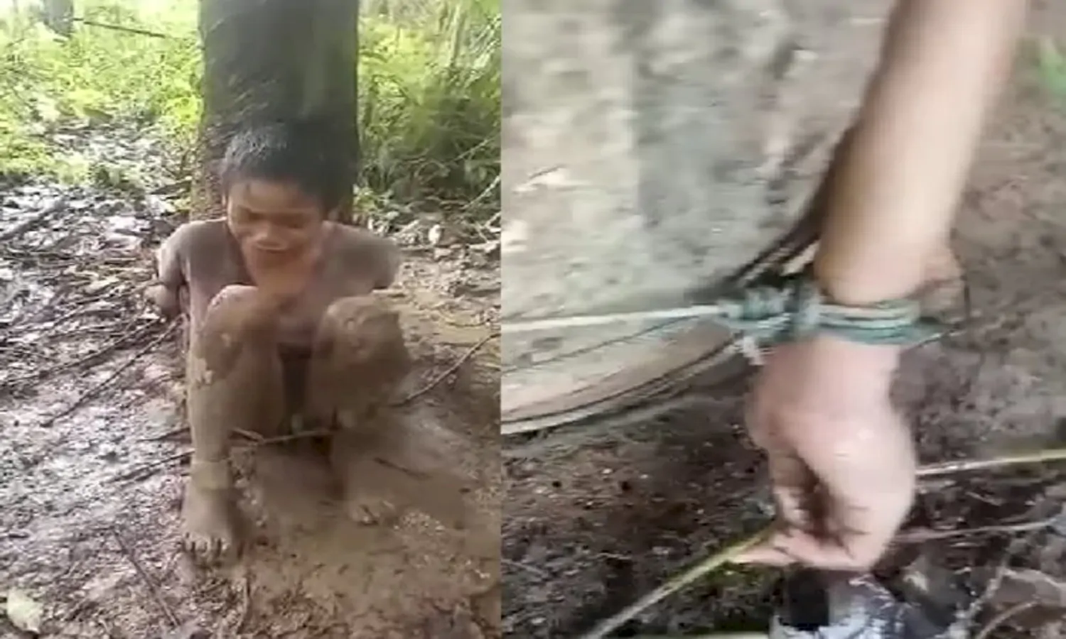 Viral! Seorang Bocah Menangis di Bawah Pohon Karet