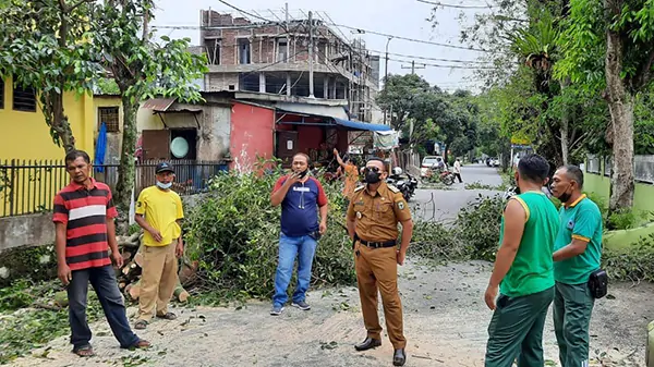 Camat Siantar Barat Turun Langsung Membersihkan Pohon Yang Tumbang