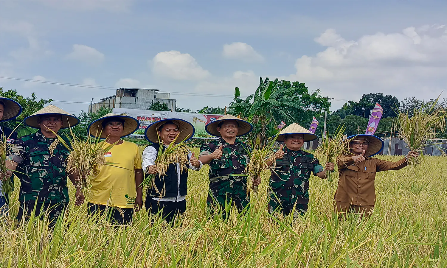 Bagian dari City Farming, Â 2,4 Ton Padi Organik Berhasil Panen di Medan