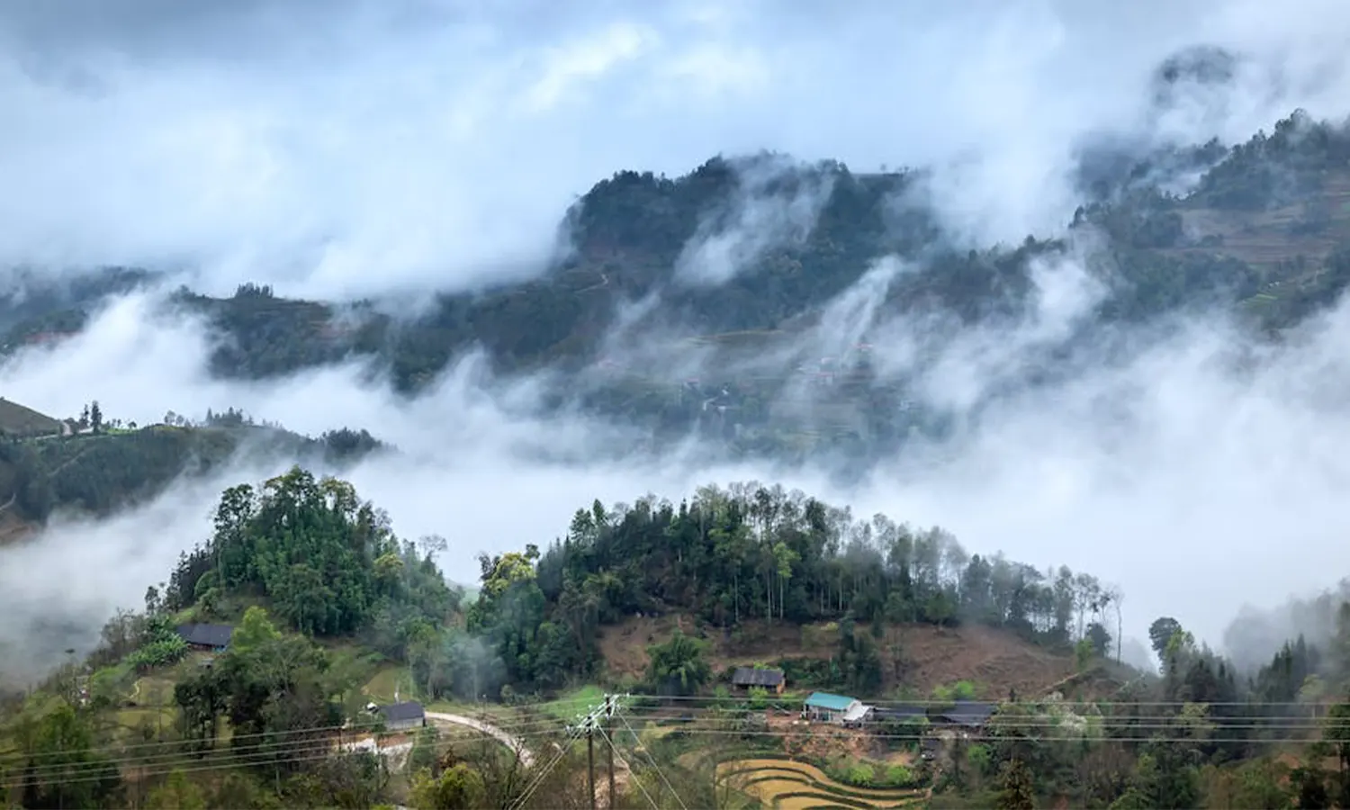El Nino di Papua Tengah, SYL: Sudah Terbiasa Cuaca Ekstrem