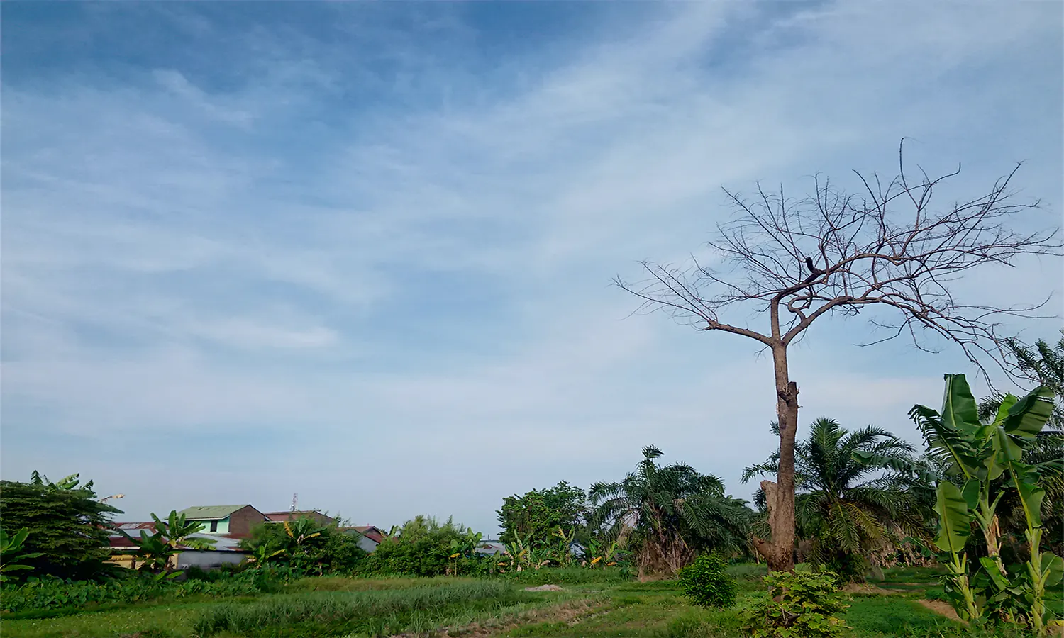 Hari Pertama Ramadan di Medan Disambut Suhu Panas 34Â°C, BMKG Beberkan Penyebabnya