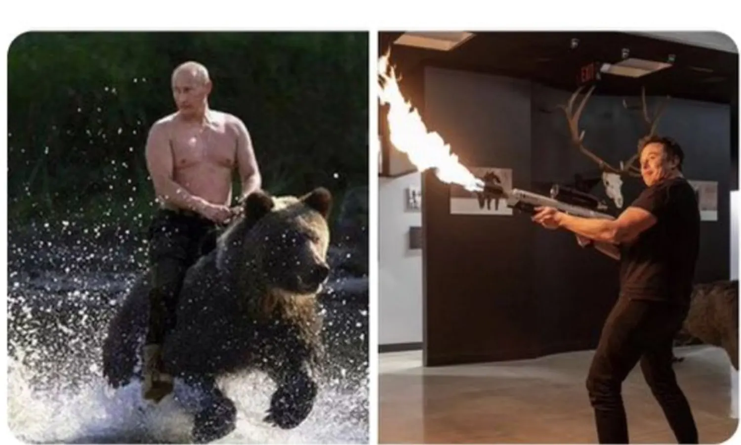 Elon Musk Tantang Vladimir Putin Duel