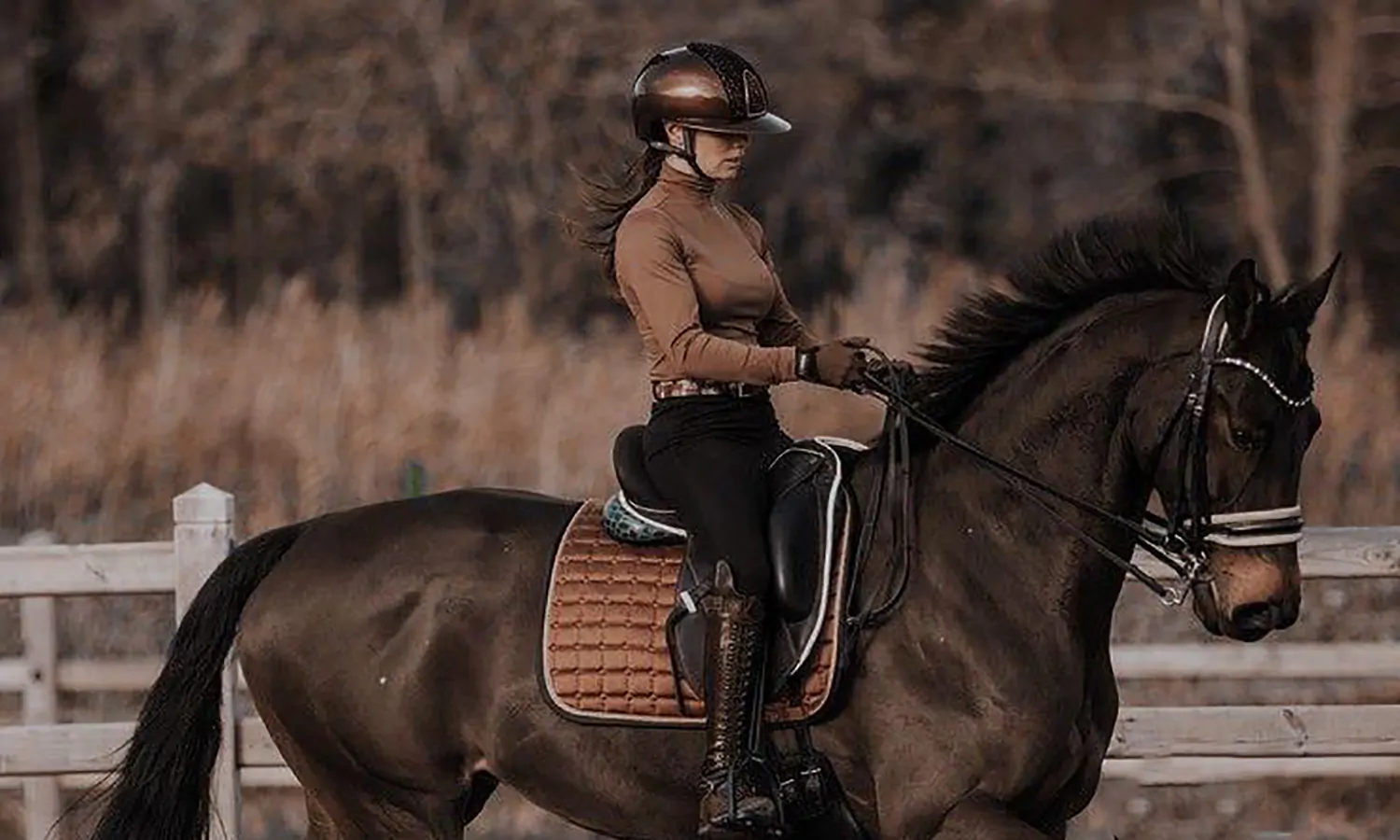 Equestrian Adalah: Sejarah, Jenis, dan Manfaatnya