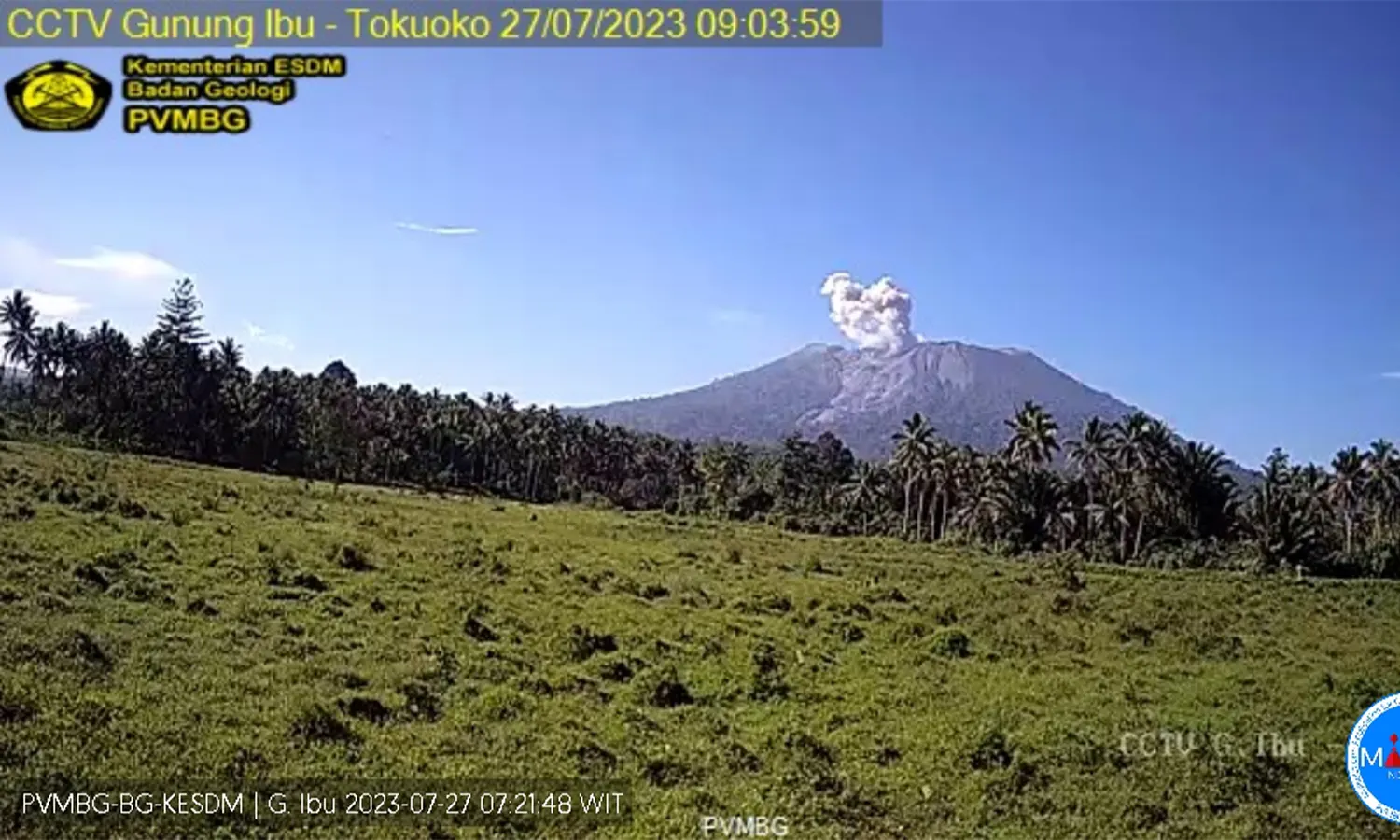 Gunung Ibu Erupsi Hari Ini, Luncurkan Abu Setinggi 500 Meter