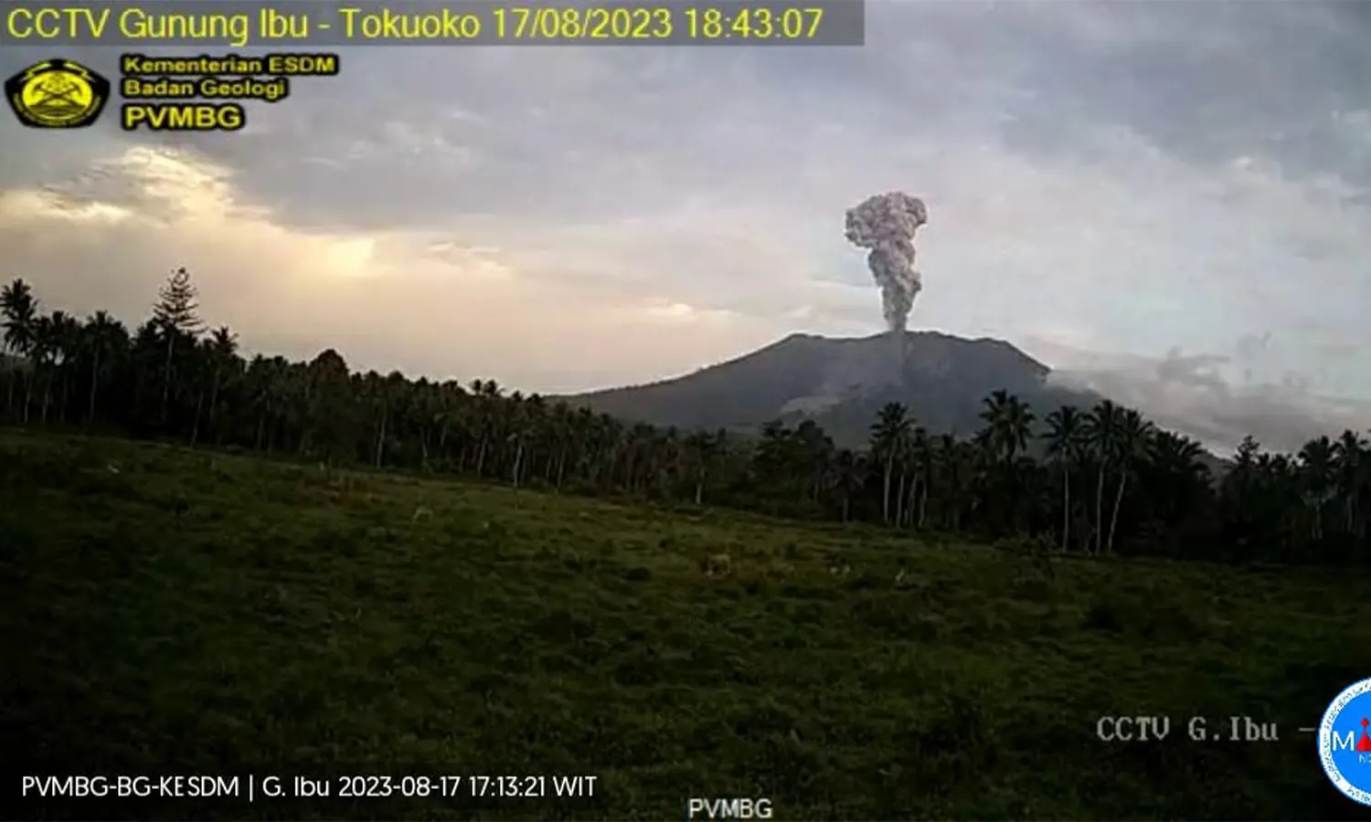 Gunung Ibu Erupsi Hari Ini, Luncurkan Abu Setinggi 1.200 Meter
