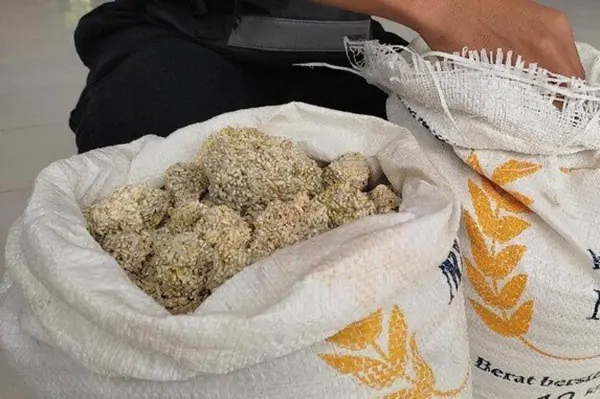 Protes Bantuan Beras Seperti Batu, Begini Respon Bulog