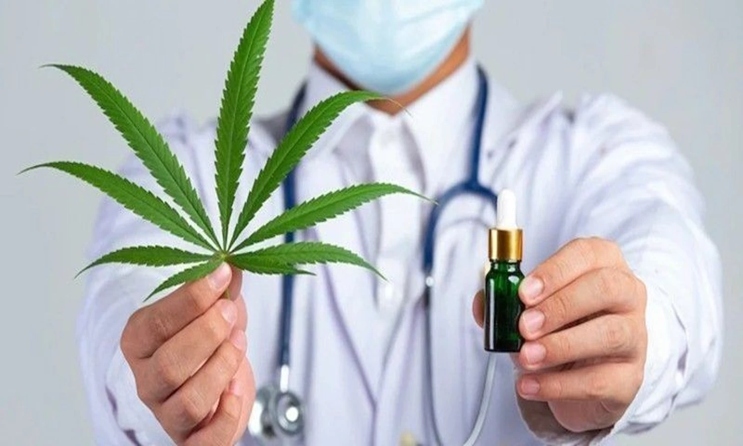 Sah! MK Menolak Legalisasi Ganja Medis untuk Kesehatan