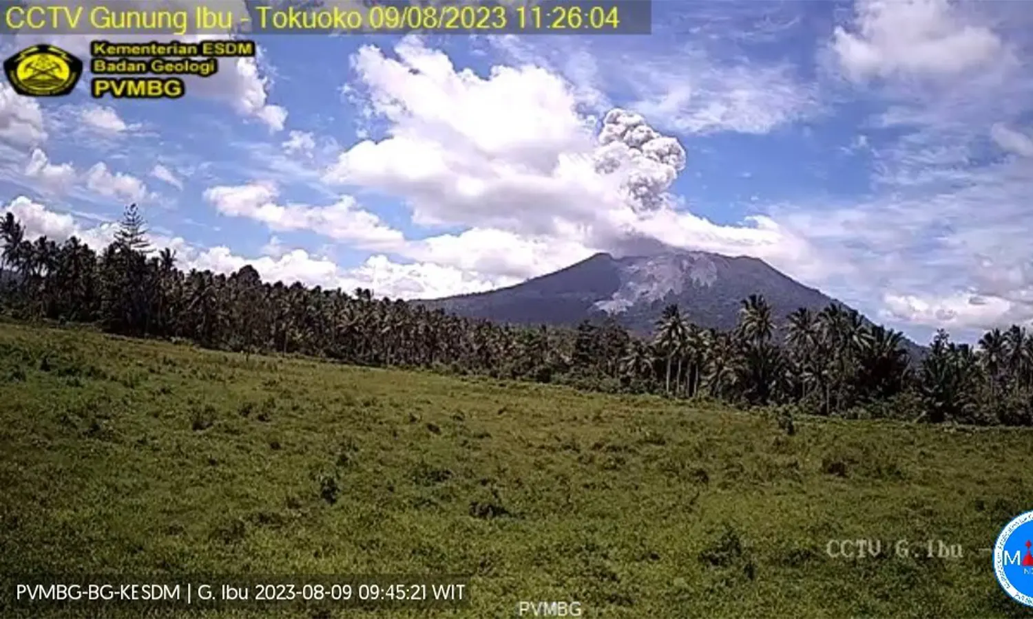 Gunung Ibu Erupsi Hari Ini, Luncurkan Abu Setinggi 1.000 Meter