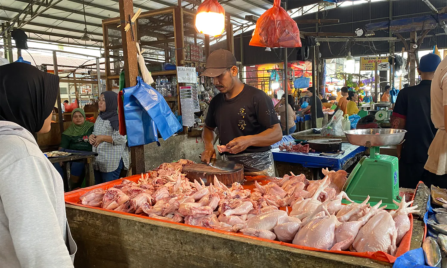 Harga Ayam Potong di Medan Meroket, Pedagang kaki Lima Menjerit