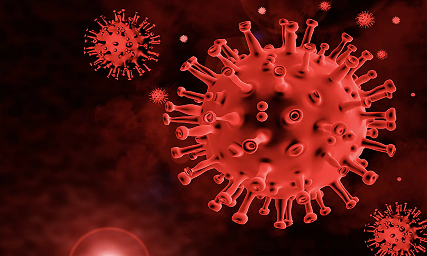 Covid-19 dan Hepatitis Akut Belum Usai, Peneliti Kesehatan Temukan Virus Baru di Australia 