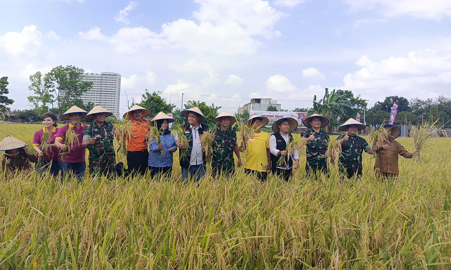Petani Sumut Keluhkan Kenaikan HPP Gabah Tak Kunjung Berbuah Untung
