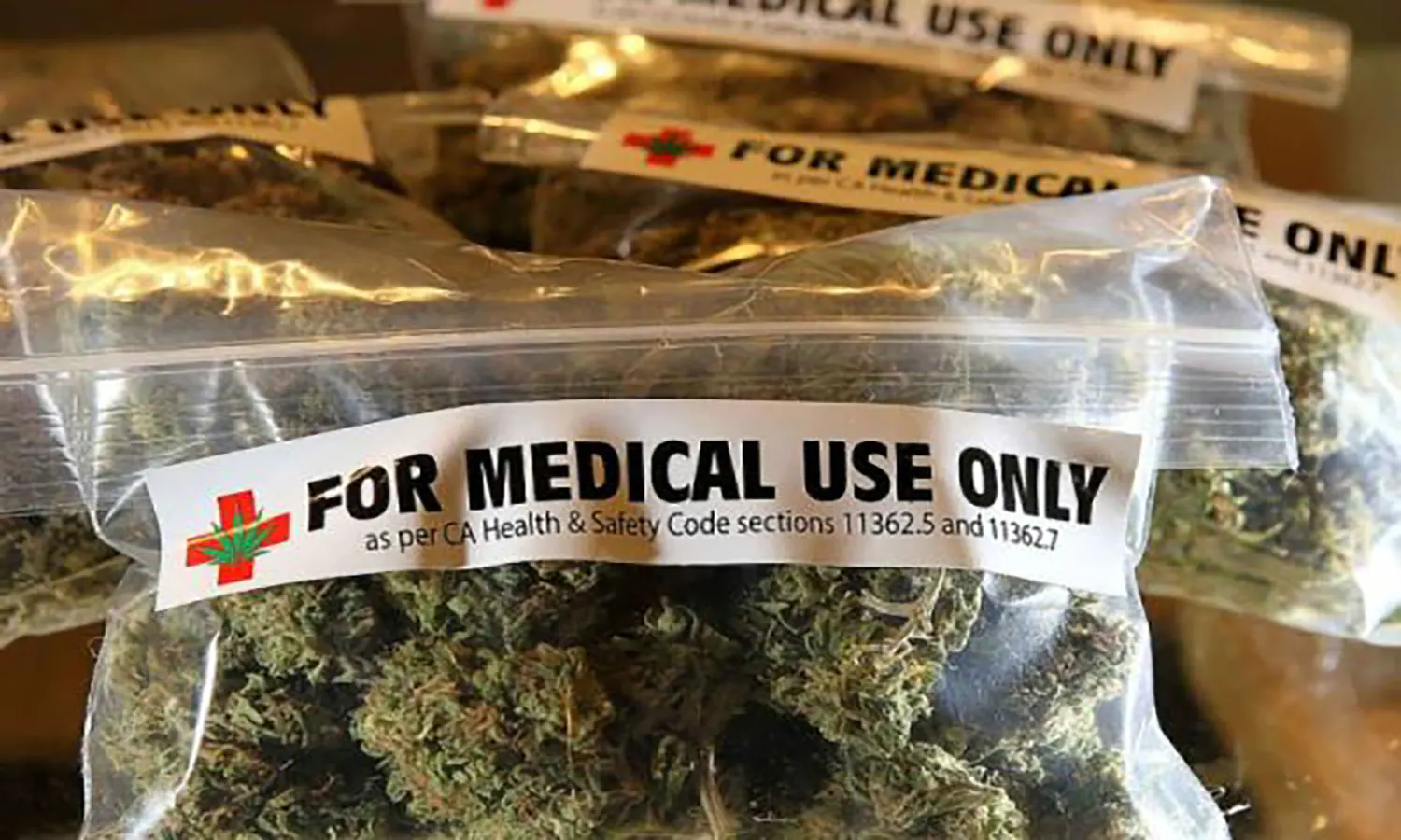 Wacana DPR Aceh: Kaji Legalisasi Ganja Untuk Medis