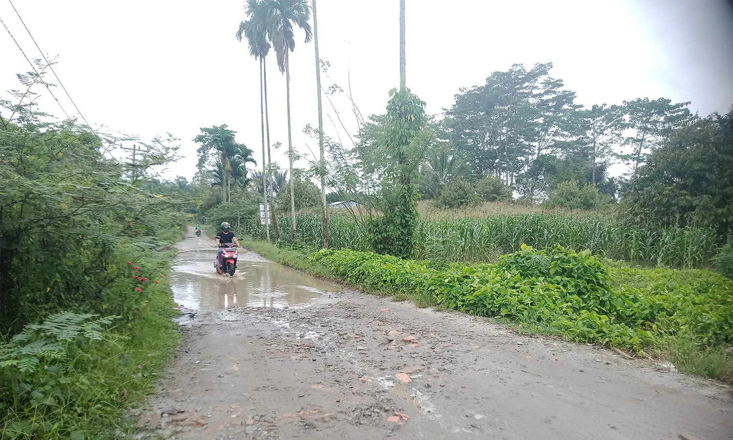 Akui Jalan AksesÂ BAC Pematang Siantar Rusak Berat, Pengelola Harap Perbaikan PemerintahÂ 
