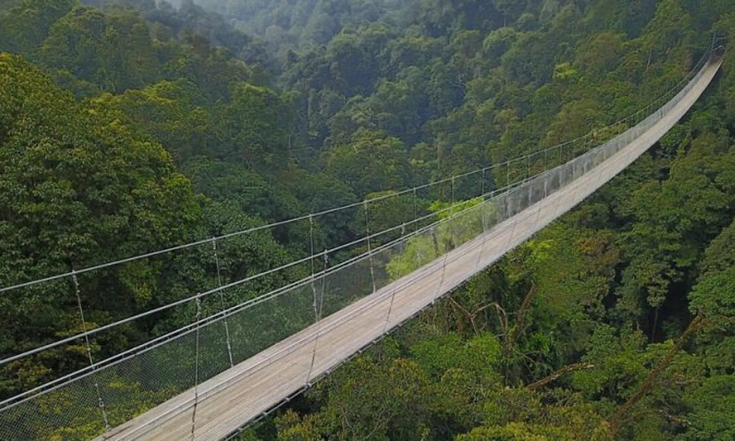 Jembatan Terpanjang se Asia Tenggara, Ini Dia 3 Pemenangnya