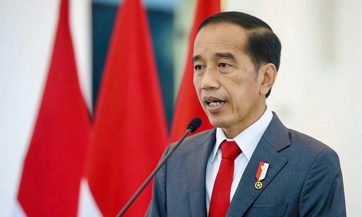 Jokowi Akui 12 Pelanggaran HAM Berat di Masa Lalu, Pembunuhan Massal 1965 Hingga Penembakan Misters 1985