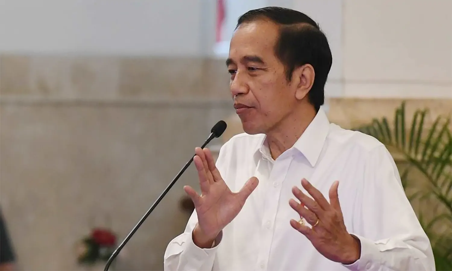 Jokowi Akan Salurkan BLT Minyak Goreng Kepada 20,5 Juta Penerima Pada April 2022
