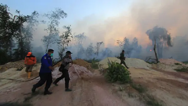 Lahan 60 Hektar di Sambas Terbakar  Akibat Upaya Membuka Ladang 