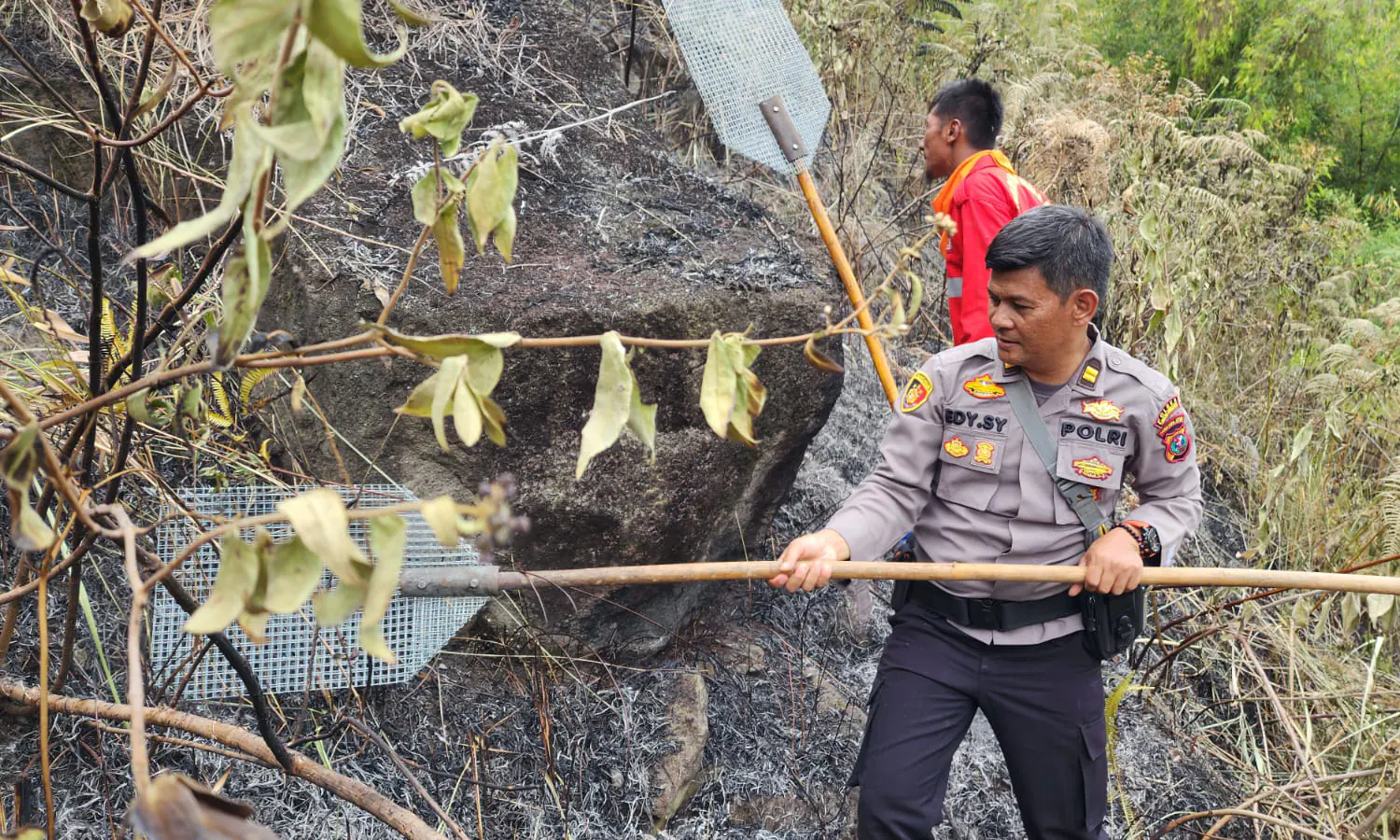 10 Hektare Lahan Terbakar di Simalungun Berhasil Dipadamkan, BPBD: Waspada Karhutla diÂ DuaÂ Kecamatan