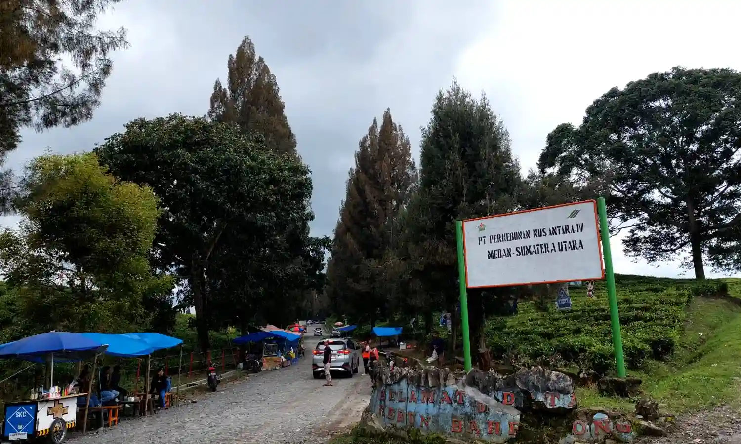 Akibat Isu Konversi ke Sawit, Wisatawan ke Perkebunan Sidamanik Menurun