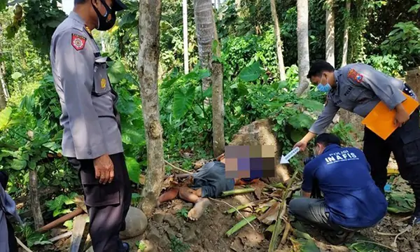 Pria 70 Tahun Tewas Setelah Jatuh Dari Pohon Kelapa Setinggi 15 Meter