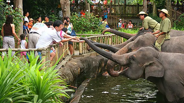 Akan Kembangkan Medan Zoo, Pemkot Medan Fokus Datangkan Investor