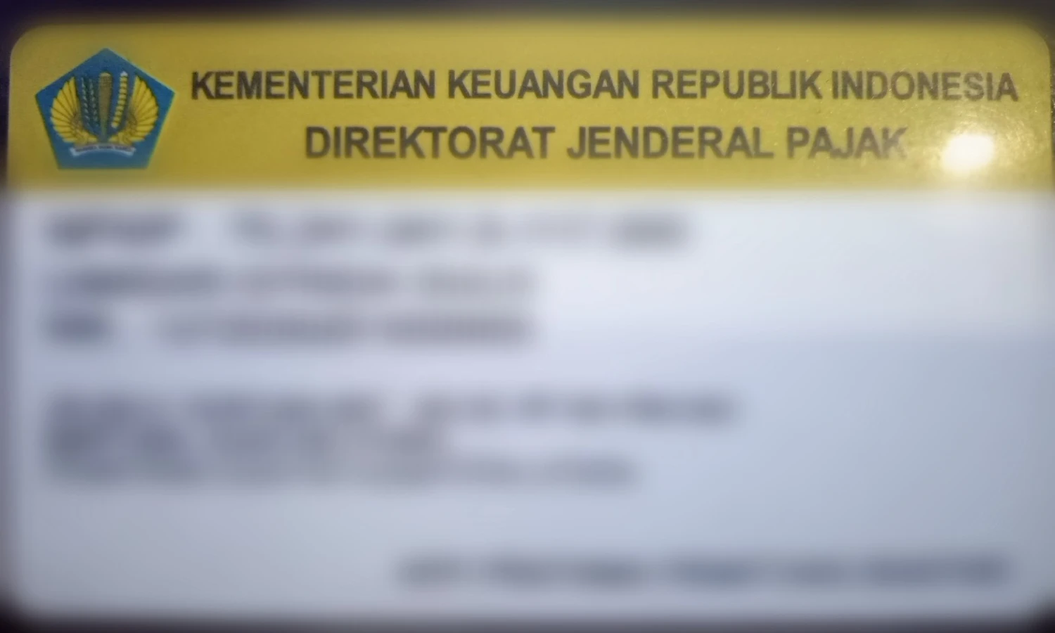 19 Juta NIK Resmi Terdaftar jadi NPWP